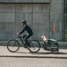Remorque-pour-chien-Thule-Bexey-M-1_890x890_crop_center-1.webp