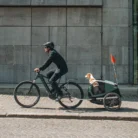 Remorque-pour-chien-Thule-Bexey-M-1_890x890_crop_center.webp