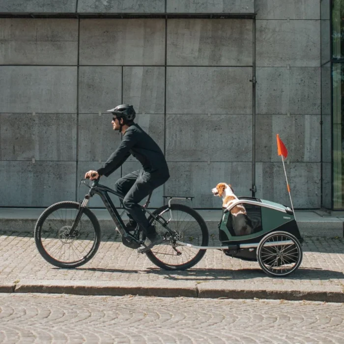 Remorque-pour-chien-Thule-Bexey-M-1_890x890_crop_center.webp