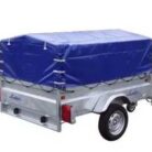 robust-39350-1-compressed.jpg