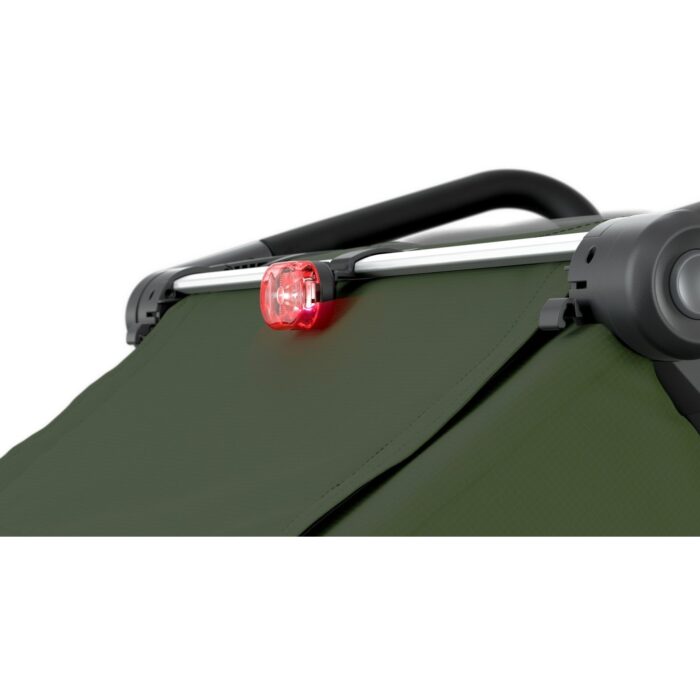 thule-chariot-cab-2-bike-trailer-for-2-kids-cypress-green-12-959261.jpg thule-chariot-cab-2-bike-trailer-for-2-kids-cypress-green-12-959261.jpg