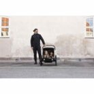 thule-chariot-cross-2-double-bike-trailer-2-kids-faded-khaki-6-1849542-compressed.jpg