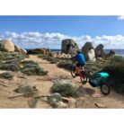 tout-terrain-singletrailer-2-sport-bike-trailer-for-1-kid-1497903-compressed.jpg